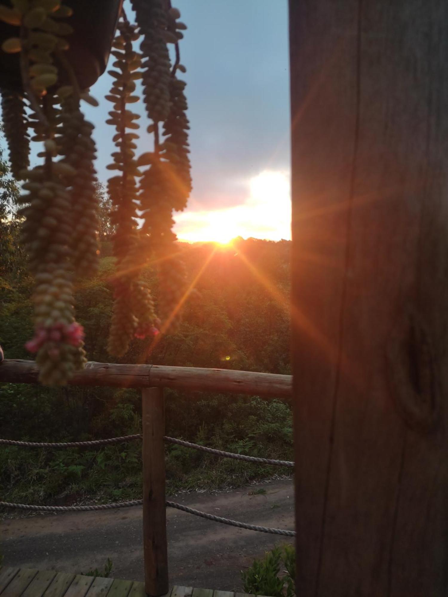 Cabana Rustica Logcabin Озориу Экстерьер фото